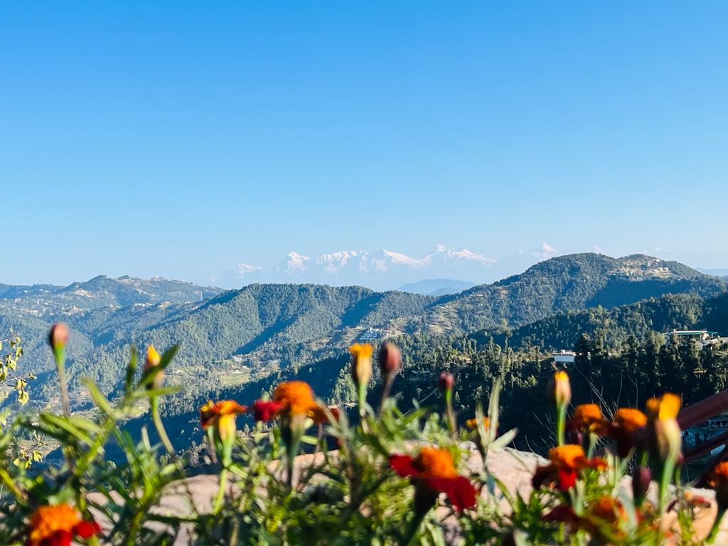 Kafal Pako Hotel Image - Best Hotel in Mukteshwar